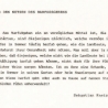 barfuss-6