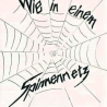 spinnennetz-1