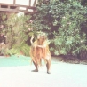 Bild11