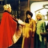 Bild16