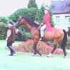Bild118